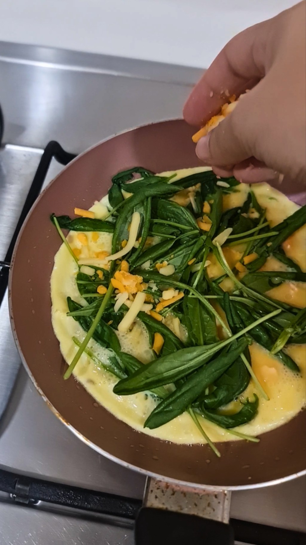 Salmon Cheese Omelette